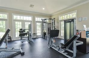 exercise room with french doors, crown molding, and plenty of natural light