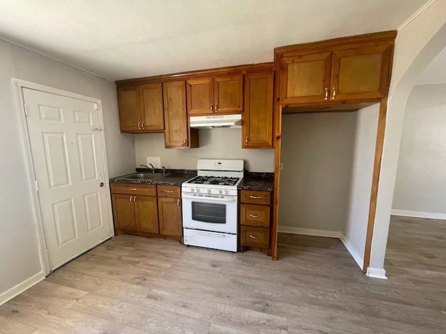 kitchen with light hardwood / wood-style flooring, gas range gas stove, and sink