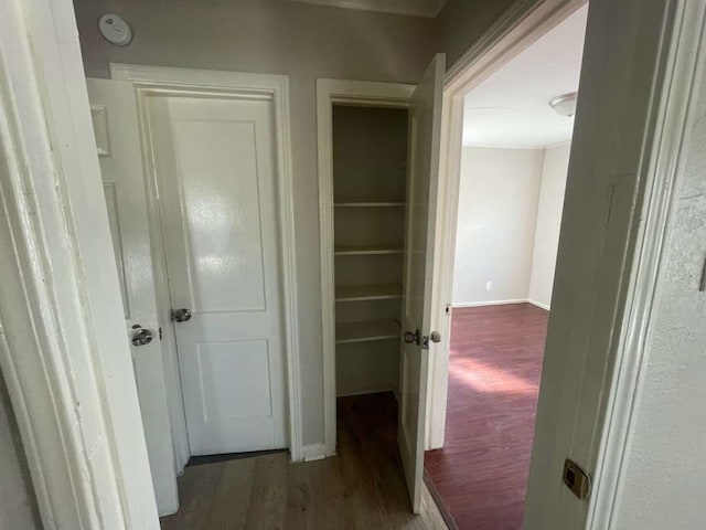 corridor featuring dark hardwood / wood-style flooring