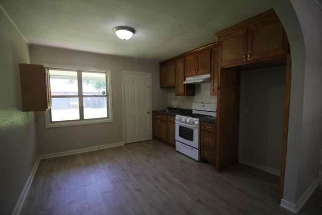 1507 Demaree Ln, Houston, TX 77029 - kitchen featuring white range with gas stovetop, under cabinet range hood, arched walkways, light wood-style flooring, and dark countertops