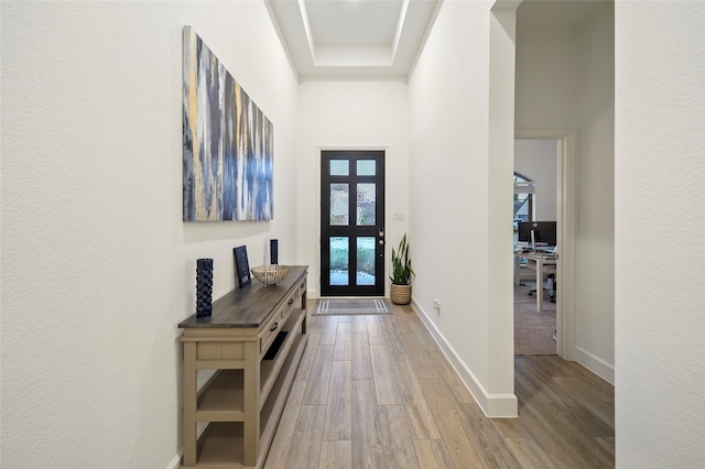 foyer featuring a high ceiling, a tray ceiling, and light hardwood / wood-style floors