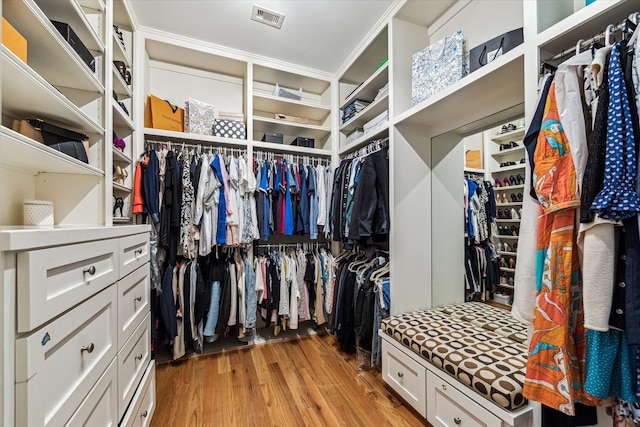 spacious closet with light wood-type flooring