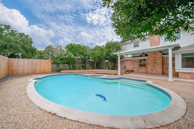 view of pool featuring a patio