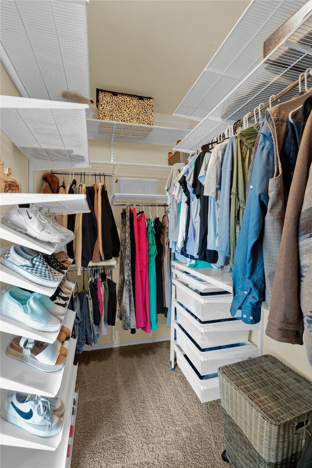 spacious closet featuring carpet flooring