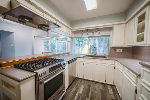 kitchen featuring dark hardwood / wood-style flooring, ventilation hood, sink, appliances with stainless steel finishes, and white cabinets