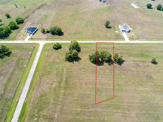 307 Colt Trl, Angleton TX, 77515 land for sale