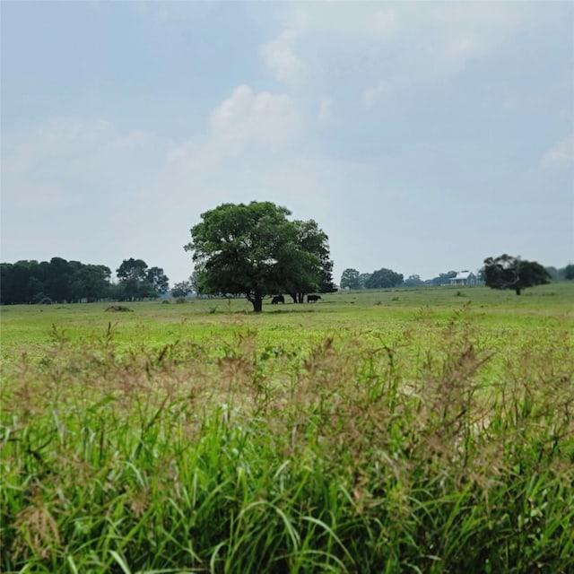 TBD Andreas Rd, Round Top TX, 78954 land for sale