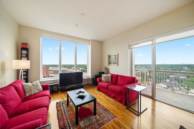 living room with light hardwood / wood-style floors