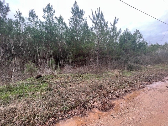 Listing photo 2 for TRACT7 Tram Rd, Livingston TX 77351