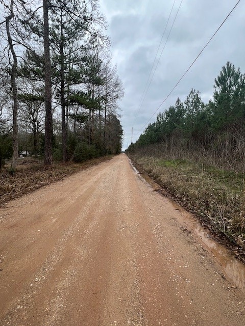 Listing photo 3 for TRACT7 Tram Rd, Livingston TX 77351