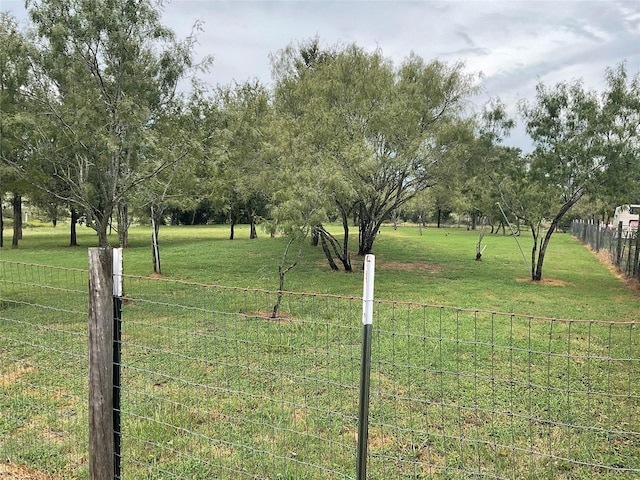 view of yard featuring a rural view