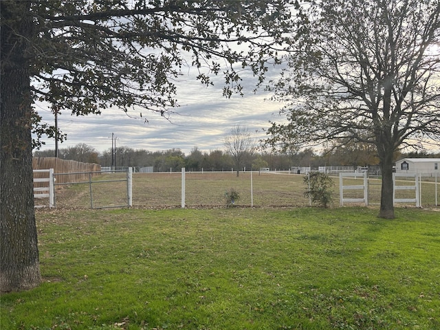 view of yard with a rural view