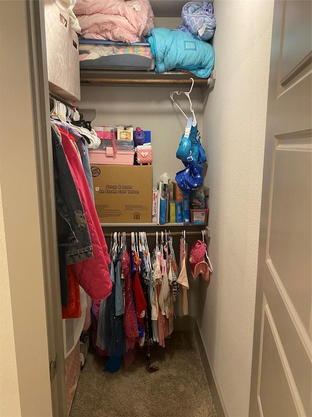 spacious closet featuring carpet flooring