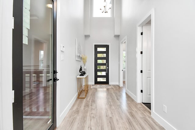 entryway with a towering ceiling and light hardwood / wood-style floors