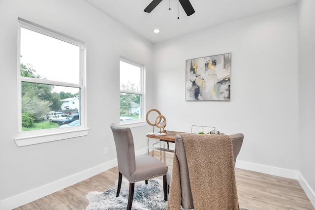 dining space featuring light hardwood / wood-style flooring and ceiling fan