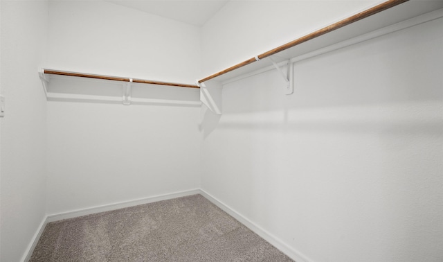 spacious closet with carpet floors