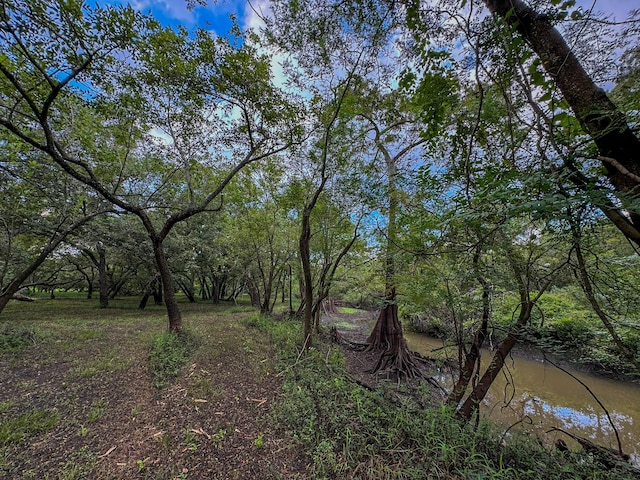 000 Baldwin Dr, Hungerford TX, 77448 land for sale