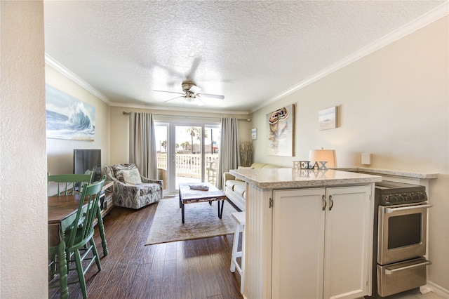 kitchen with ceiling fan, dark hardwood / wood-style floors, crown molding, and a textured ceiling