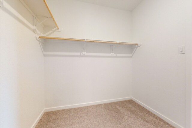 spacious closet featuring carpet floors