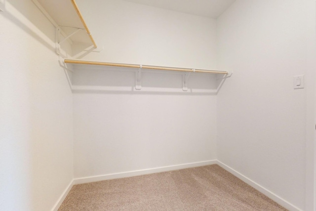 spacious closet featuring light colored carpet