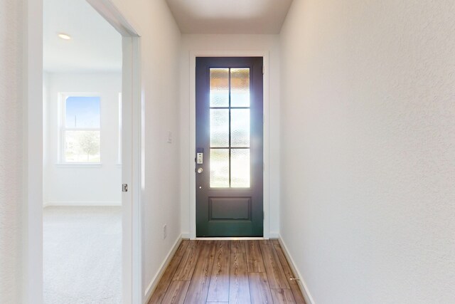 doorway to outside with wood-type flooring