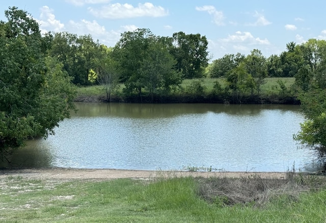 property view of water