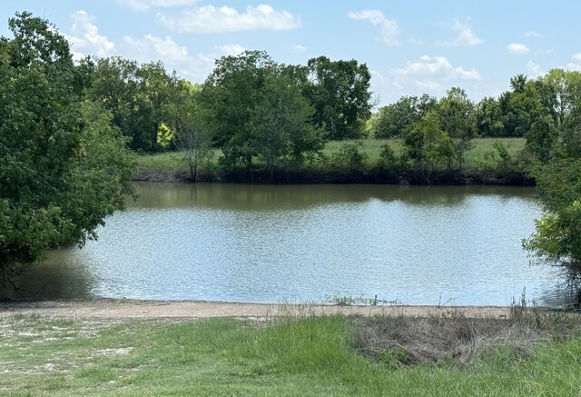 144 Thornton, Trinity, TX 75862 - photo 37