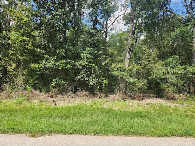 000 Dipping Ln, New Caney TX, 77357 land for sale