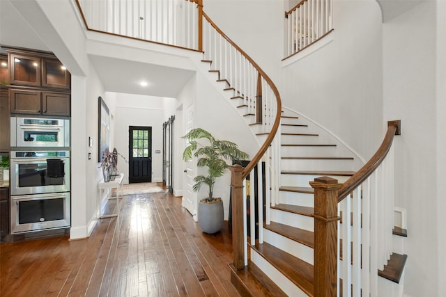 foyer with a high ceiling and dark wood-type flooring