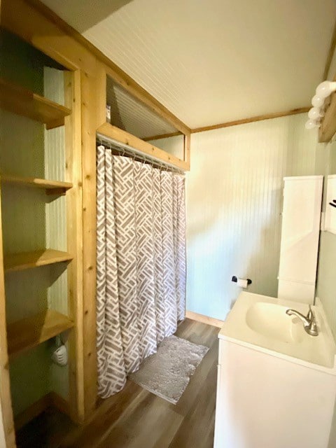 bathroom featuring sink and wood-type flooring