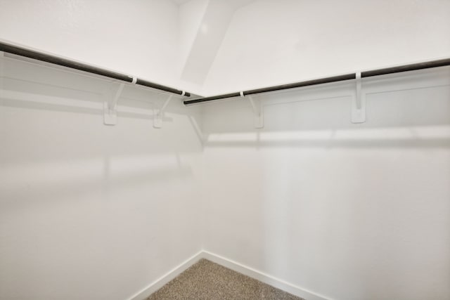 walk in closet with carpet