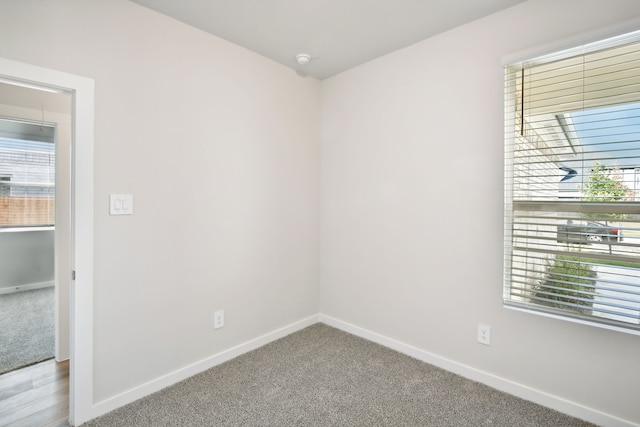 spare room with carpet floors