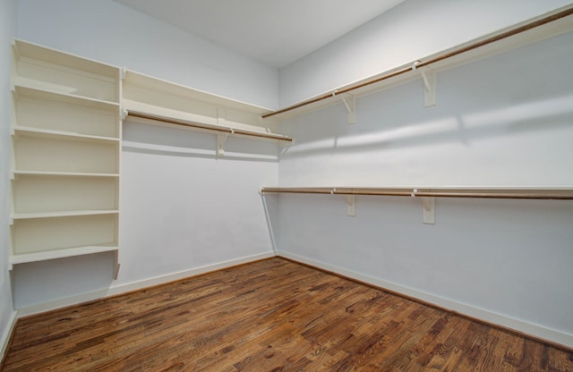 spacious closet with dark hardwood / wood-style floors