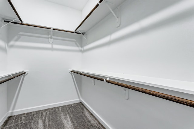 spacious closet featuring carpet floors