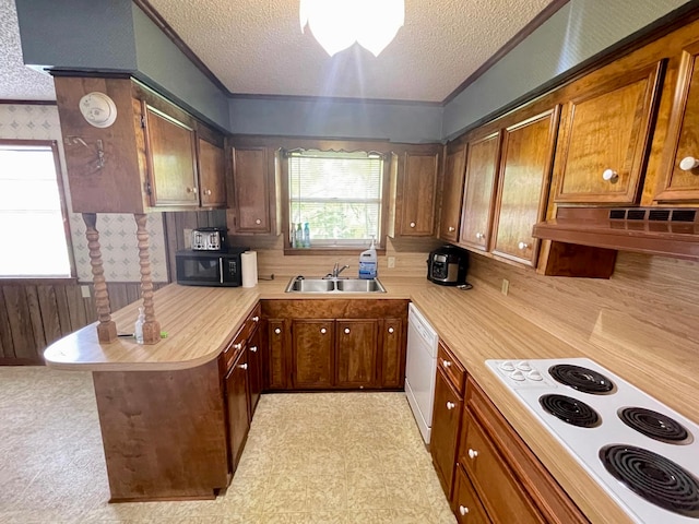 kitchen featuring white appliances, a textured ceiling, sink, and ventilation hood