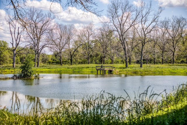 42493 Fm 1458 B Rd, Pattison TX, 77423 land for sale