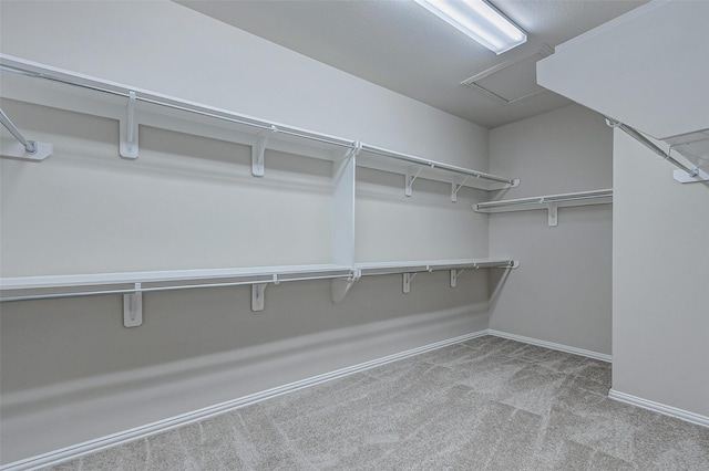 walk in closet with carpet