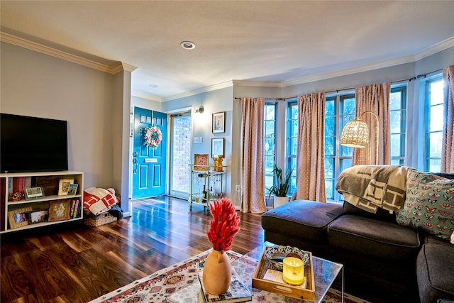 living room featuring crown molding, plenty of natural light, dark hardwood / wood-style flooring, and a textured ceiling