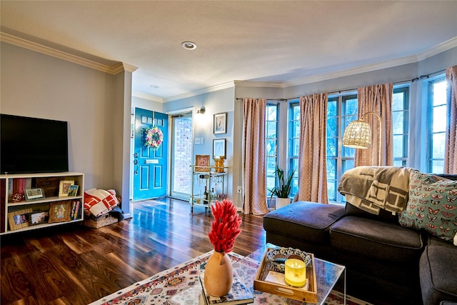 living area featuring crown molding, baseboards, and wood finished floors