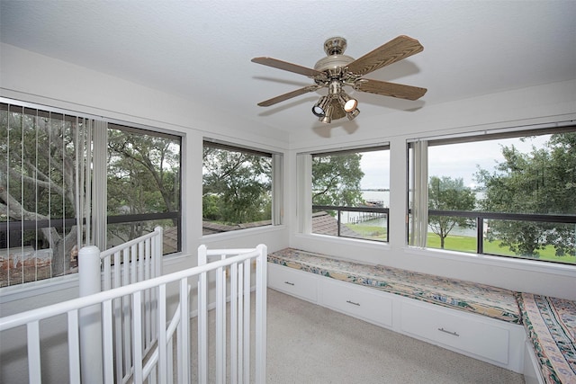 3821 Nasa Rd Unit 1, Seabrook, TX 77586 - unfurnished sunroom featuring carpet