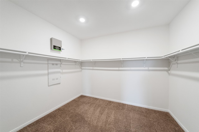 walk in closet featuring carpet