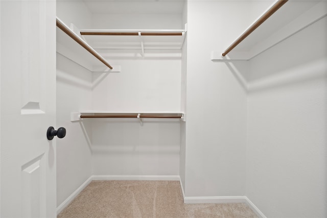 spacious closet featuring light carpet