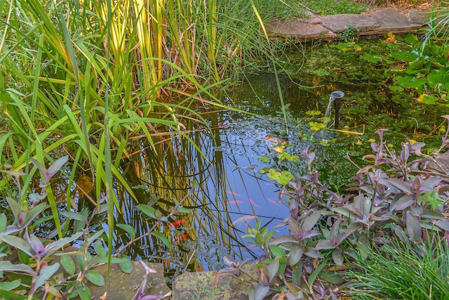 details featuring a small pond