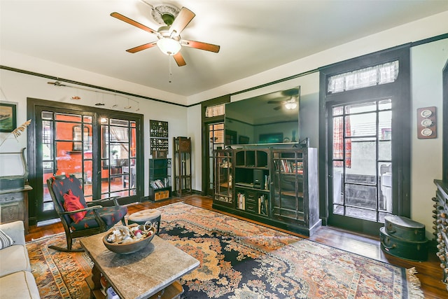 living room with ceiling fan and wood-type flooring