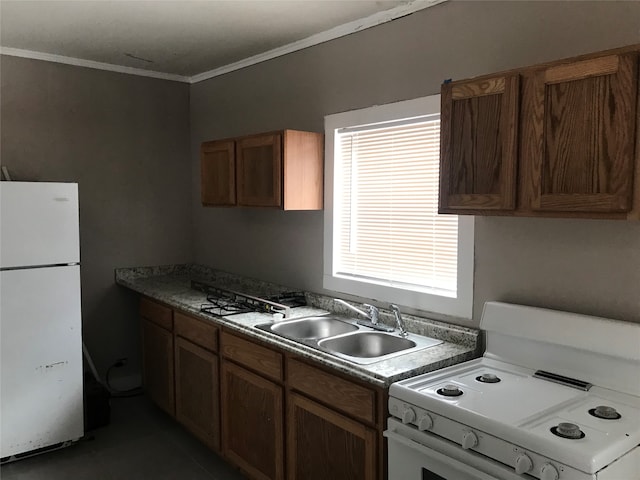 kitchen featuring ornamental molding, white appliances, and sink