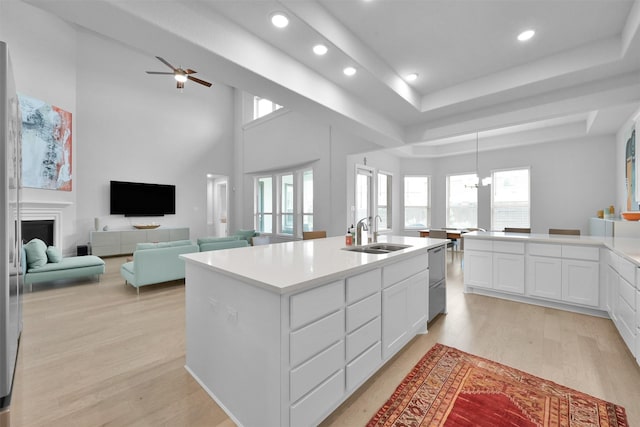 kitchen featuring a raised ceiling, plenty of natural light, a sink, and light wood-style flooring