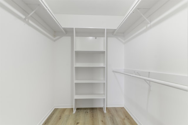 spacious closet featuring light hardwood / wood-style flooring