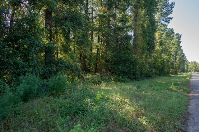 Listing photo 3 for LOT24 Allen Dr, Conroe TX 77304