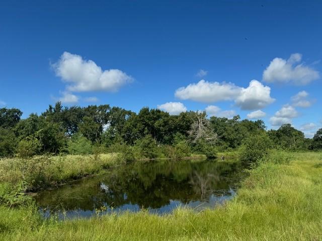 23055 Flukinger Rd, Waller, TX 77484 - photo 17