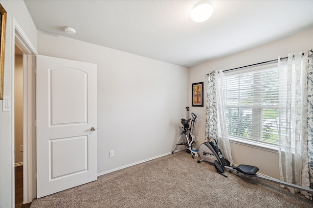 workout room featuring carpet floors